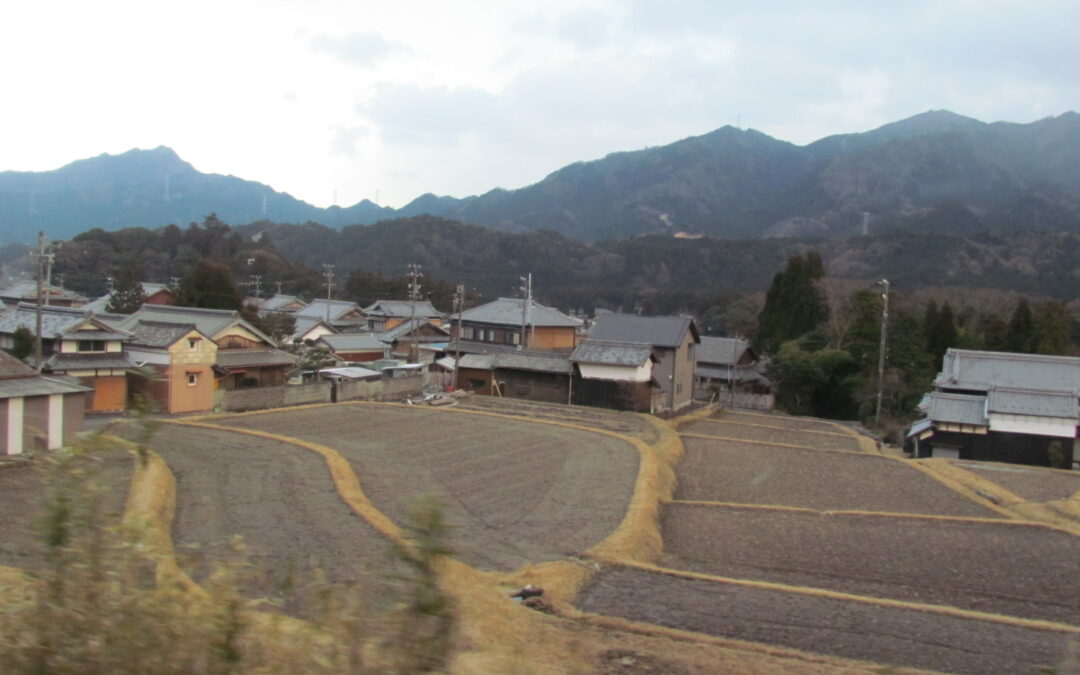 TANBO 田んぼ : rizières japonaises