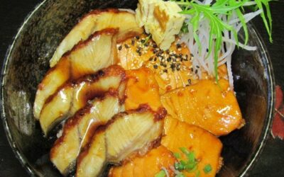 unagi don : anguilles et saumon